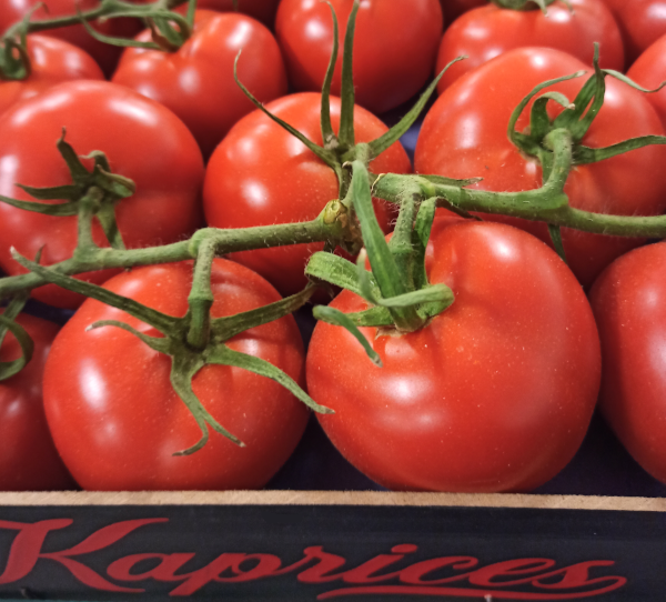 La tomate avant tout, mais pas seulement